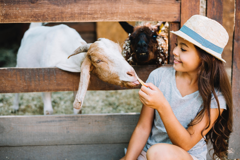 Girl at the petting zoo