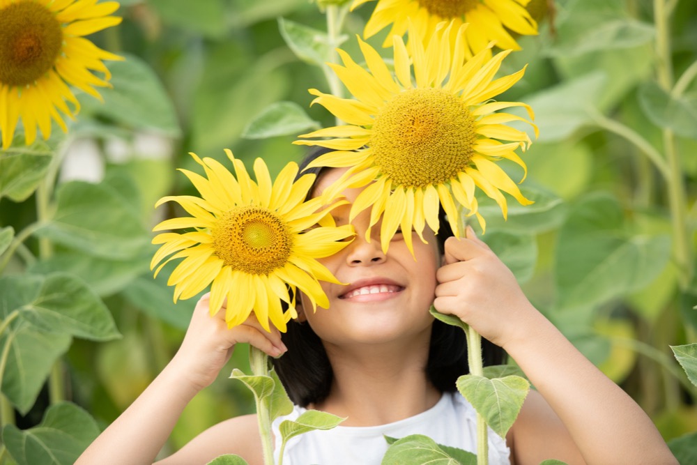 child smiling with sunflowers