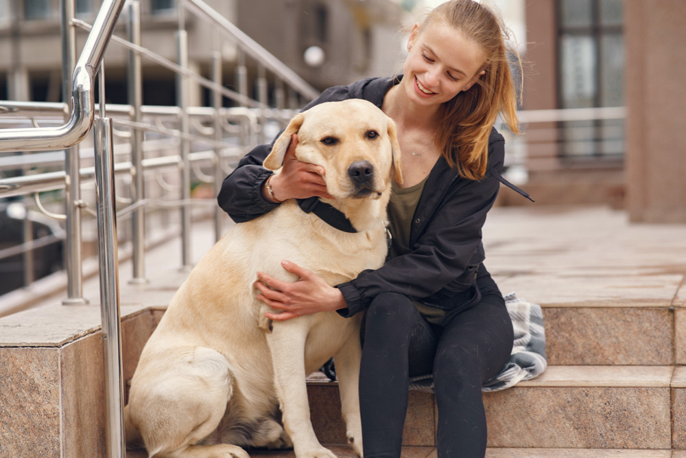 Teen girl with Labrador assistance dogs